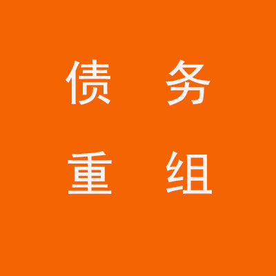 金水个人债务重组优化